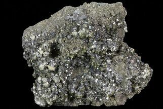Galena & Chalcopyrite Crystal Cluster - Missouri #73856