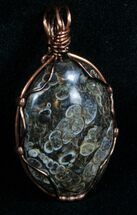 Copper Wire Wrapped Turritella Pendant #5954
