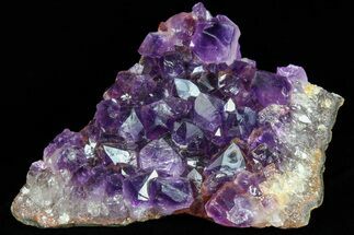 Dark Purple Amethyst Cluster - Excellent Color #76999