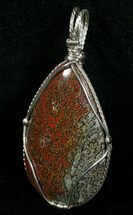 Red/Blue Agatized Dinosaur Bone Pendant #5975