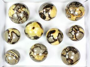 Lot: Septarian Spheres - - Pieces #78049