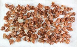 Lot: Small Twinned Aragonite Crystals - Pieces #78109