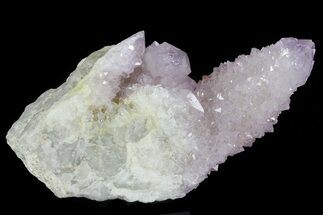 4.1" Cactus Quartz (Amethyst) Cluster - South Africa - Crystal #80006
