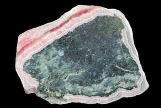 Rhodochrosite Stalactite Slab With Pyrite Center - Argentina #80968