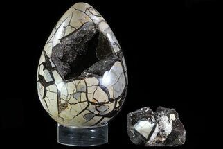 Huge, Septarian Dragon Egg Geode - Removable Section #78536