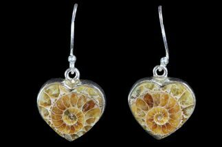 Fossil Heart Shaped Ammonite Earrings - Sterling Silver #81618