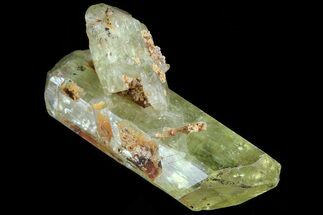 Lustrous, Yellow Apatite Crystal - Imilchil, Morocco #82410