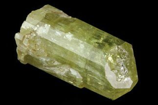 .9" Lustrous Yellow Apatite Crystal - Morocco - Crystal #82504