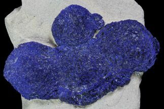 Dark Blue Azurite Sun Cluster On Rock - Australia #82719