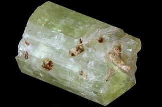 Lustrous Yellow Apatite Crystal - Morocco #82534