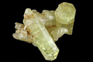 Lustrous Yellow Apatite Crystal Cluster - Morocco #82546