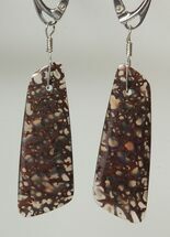 Spiderweb Agatized Dinosaur Bone (Gembone) Earrings #84743