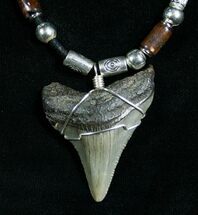 Megalodon Tooth Necklace - Serrated #6318