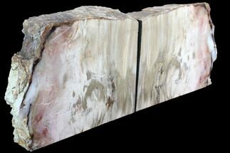 Gorgeous, Tall Petrified Wood (Sequoia) Bookends - Nevada #86222