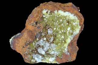 Gemmy, Yellow Adamite & Calcite Association - Durango, Mexico #88898