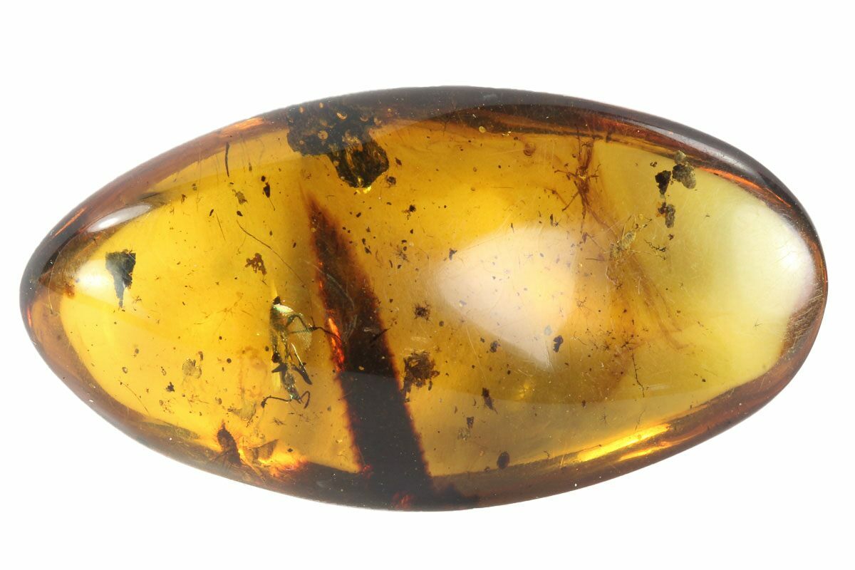 Fossil Cricket & Ant in Amber - Myanmar For Sale (#76509) - FossilEra.com