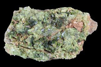 2.2" Green Epidote Crystal Cluster - Morocco - Crystal #91200