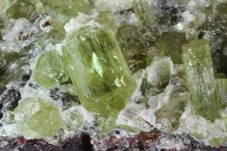 Apatite Crystals with Quartz - Durango, Mexico #91441