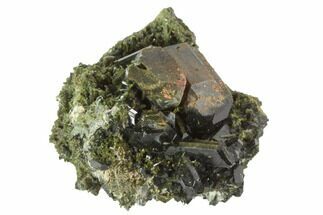 1.6" Epidote Crystal Cluster on Actinolite - Pakistan - Crystal #91968