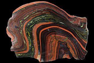 Thin, Polished Tiger Iron Stromatolite - ( Billion Years) #92984