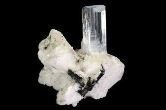 Gemmy Aquamarine Crystal With Schorl - Pakistan #93519