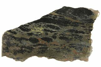 Polished Apache Gold (Chalcopyrite) Slab - Arizona #93803