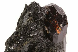 Large Zircon Crystal in Mica Schist - Norway #94427