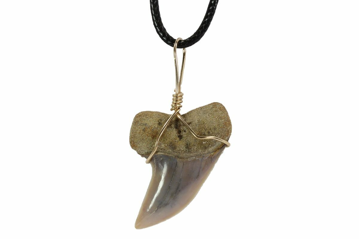 Sterling Silver Small Petrified Wood Fossil Necklace – Jan Leslie