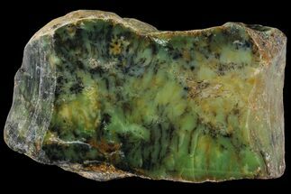 Polished Dendritic Opal (Moss Opal) - Australia #95454