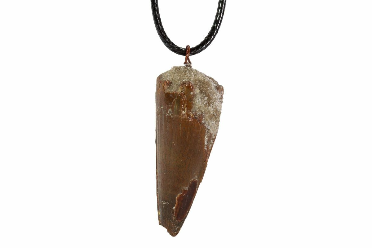 Buy Dinosaur Tooth Necklace Online In India - Etsy India