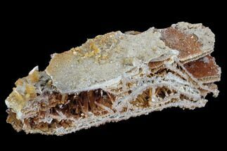 Selenite Sandwich - Lubin Mine, Poland #96143