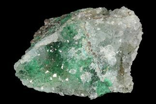 Atacamite & Quartz Crystal Association - Peru #98167