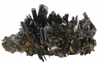 Phenomenal, Black Tourmaline (Schorl) Crystal Cluster - Namibia #100375