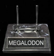 Custom Megalodon Display Stand - For Teeth /+ #101544