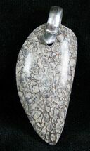 Agatized Dinosaur Bone Pendant - Colorado #7253