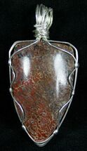 Agatized Dinosaur Bone Pendant - Silver Wire Wrapped #7256