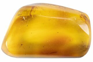 Polished Chiapas Amber With Inclusions ( g) - Mexico #102498