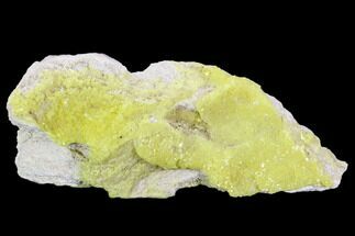 Sulfur Crystal Cluster on Matrix - Baja California #103821