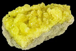 Bright Yellow Sulfur Crystals on Matrix - Bolivia #104775