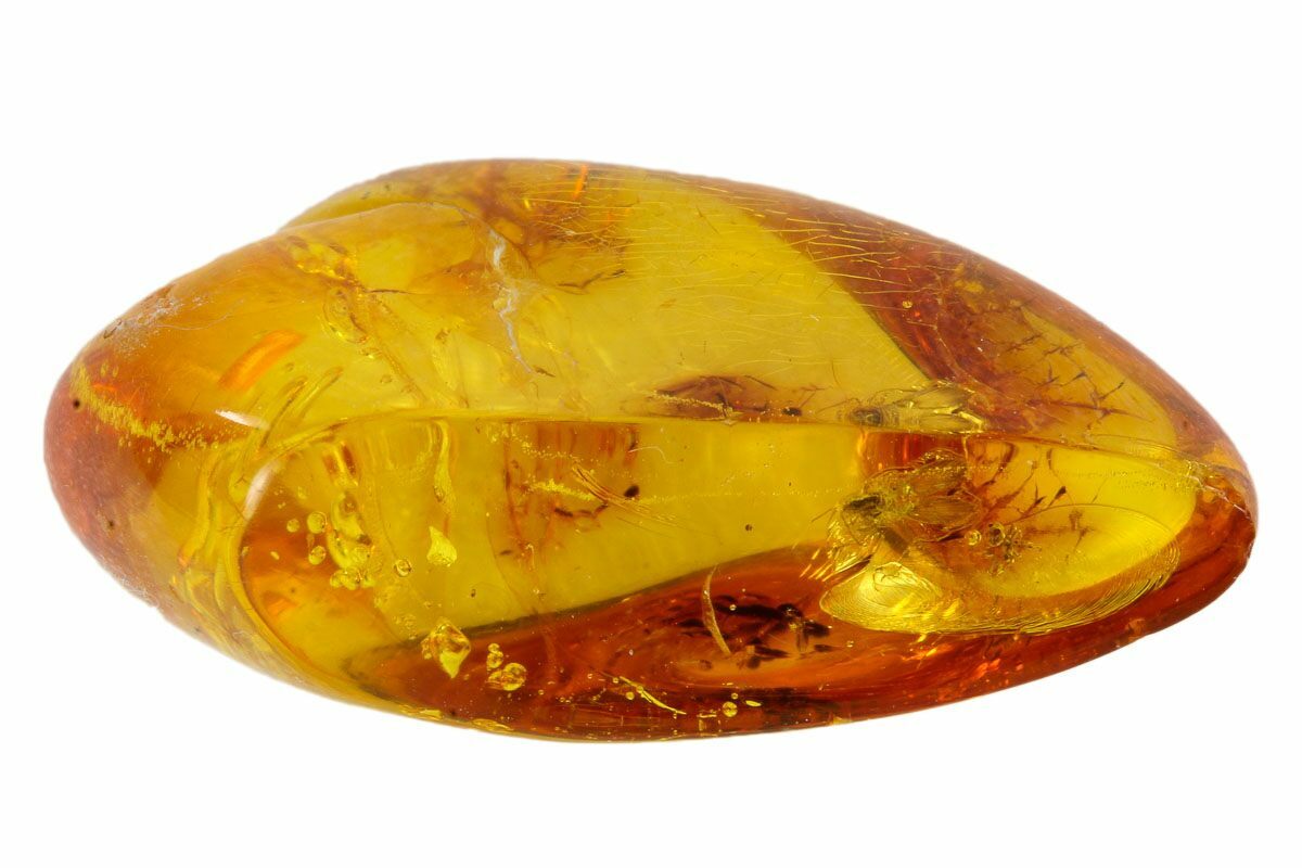 Detailed Fossil Fly (Diptera) & Spider (Aranea) In Baltic Amber ...