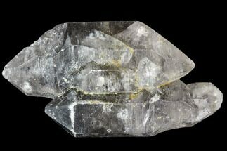 Double-Terminated Smoky Quartz Crystal Cluster - Tibet #105301