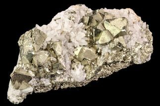 Gleaming Pyrite & Quartz Crystal Association - Peru #107426
