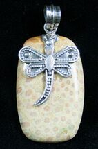 Fossil Coral Pendant With Dragonfly #7724