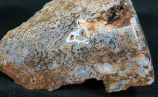 Agatized Dinosaur Bone Chunk - Polished Faces #7840