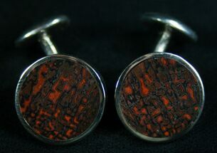 Dino Bone - Sterling Silver & Gold Rimmed Cufflinks #7892