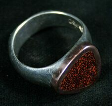 Agatized Dinosaur Bone Ring - Silver & Rose Gold #7889