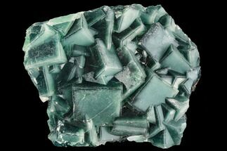 Cubic, Green Fluorite with Blue Core Phantoms - China #112056