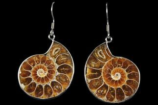Fossil Ammonite Earrings #112236