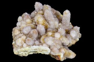 Cactus Quartz (Amethyst) Cluster - South Africa #113407