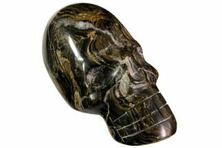 Polished Stromatolite (Greysonia) Skull - Bolivia #113535